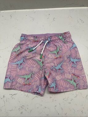 Cat & Jack Purple Swim Shorts with Green and Blue Dino Print